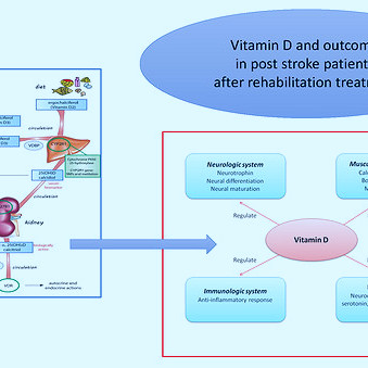 Applied Sciences | Free Full-Text | Vitamin D and Rehabilitation after  Stroke: Status of Art